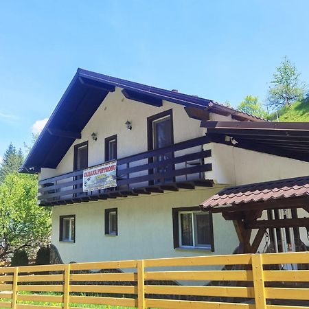 Casa Pietrosu Rodnei Borşa Exterior foto