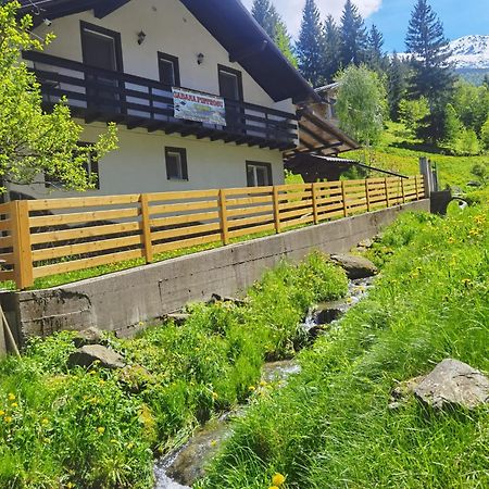 Casa Pietrosu Rodnei Borşa Exterior foto
