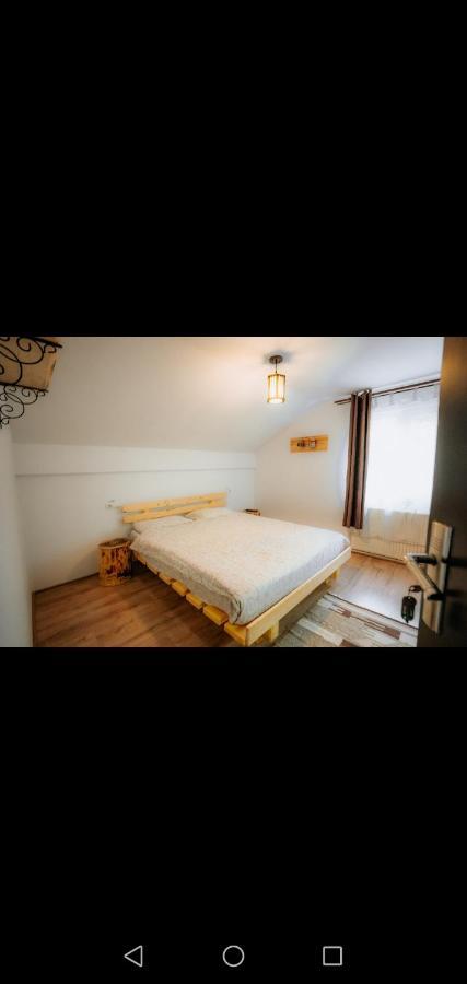Casa Pietrosu Rodnei Borşa Exterior foto