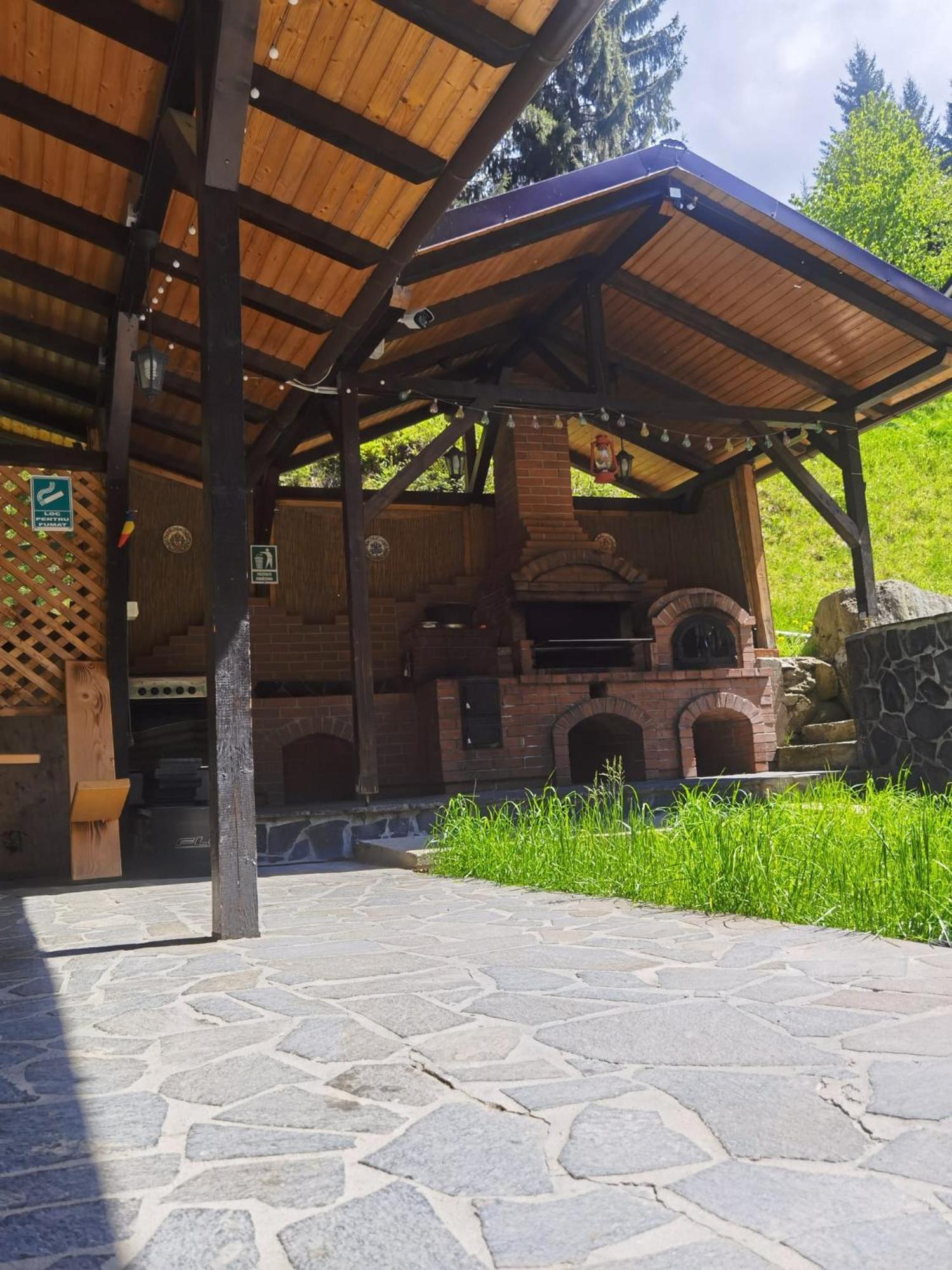 Casa Pietrosu Rodnei Borşa Exterior foto