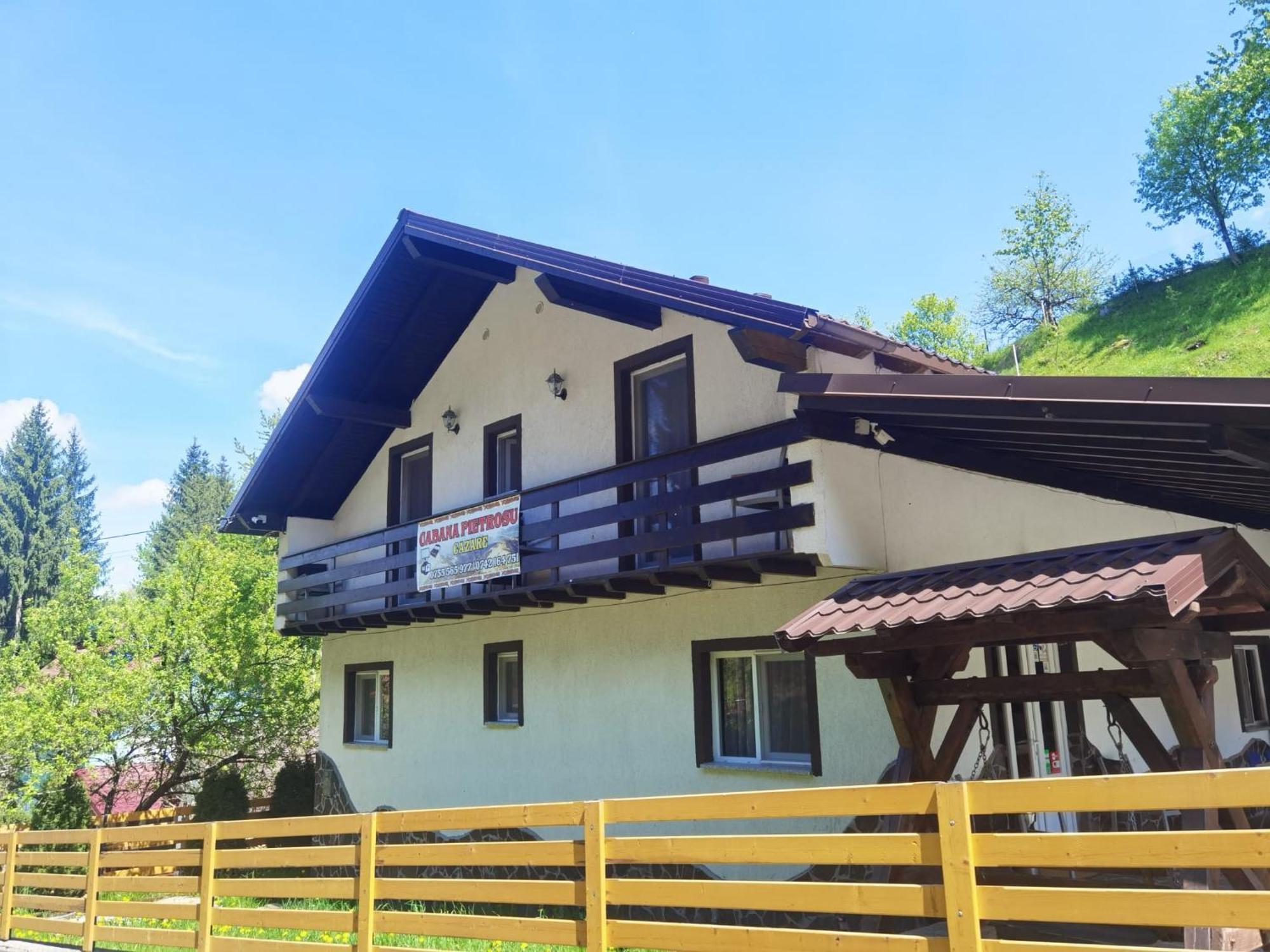 Casa Pietrosu Rodnei Borşa Exterior foto