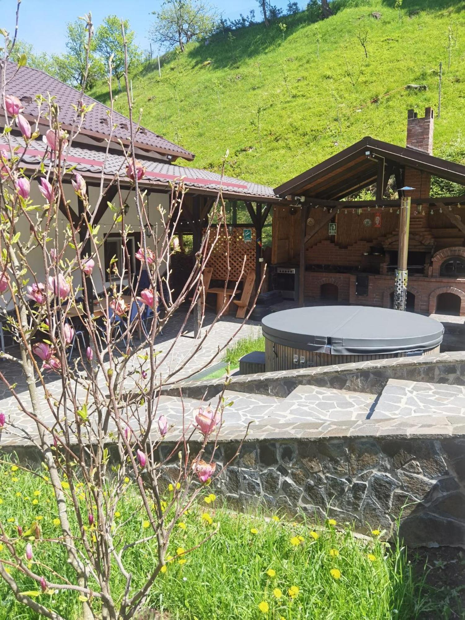 Casa Pietrosu Rodnei Borşa Exterior foto
